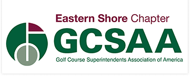 ESAGCS logo